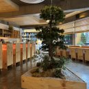 선유혼합음료 이미지