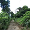 가시리 태양광발전소 이미지