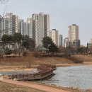 홍보네 식당 | 2월 로씨로그 | 호다닥 지나간 2월