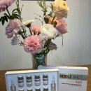 주식회사 광채 | 초유 엑소좀 앰플 피부결 개선 광채피부 만드는 스피큘 앰플 후기