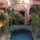 닭발싸롱 이미지