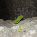 용궁