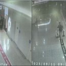 국내 ㅁ약밀수 조직 총책 잡고 보니 전직 프로야구 투수 이미지