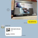 5959 내강아지 이미지