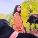태평성 이미지