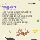 멍멍이를 부탁해 이미지