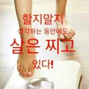 동동점핑체온다이어트