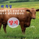 재명농장 이미지