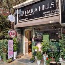 하라힐즈 강남삼성점 :: 임산부염색도 가능한 프리미엄 허브제품으로 두피클리닉 받기!