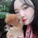 오션이니스프리 이미지