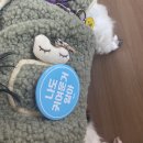 펫콤동물병원 이미지