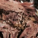 놀부유황오리 진흙구이 잠실점 이미지