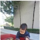 꽃과호수어린이집 이미지