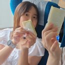 나무들의 수다 이미지