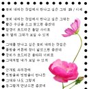 꽃비 내리는 찻집에서 만나고 싶은 그대 / 이채 시인 이미지