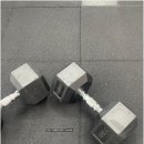 스타짐23 이미지