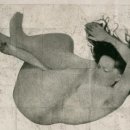 키키의숲