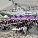 섬 왕새우축제 이미지