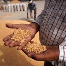 Inflation : blé, huile, sucre... Quels sont les produits frappés par des re 이미지