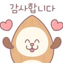 청사포깜장스테이