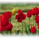 CF공인중개사사무소 이미지