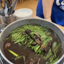 감나무집 이미지