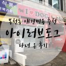 아이러브도그 | [봉천동애견미용추천]서울대입구역 아이러브도그 봉천점 다녀 온 후기!