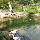 하늘연못팬션 이미지