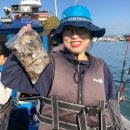 서해쭈꾸미 | 서해 태안 안면도 쭈꾸미낚시 4시간 체험 후기 예약 꿀팁 준비물 공유