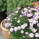 오일파스텔 드로잉 이미지