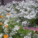 가야벽산 이미지