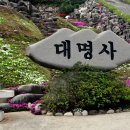 꽃잔디가 아름다운 산청대명사 이미지