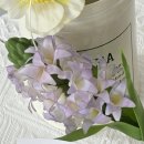 (원데이)히아시스 플라워 캔들 이미지