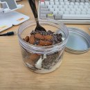 킴스신쭈꾸미앤낙지 | 주4일제 어디까지 왔나요¿