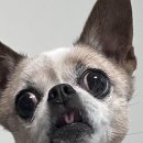 메모리멍 이미지