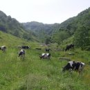 데미샘친환경농장 이미지