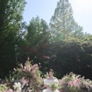그랜드Flower 네이버블로그