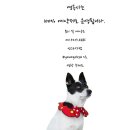 (주)지오엠 | 채널A 관찰카메라24 부산 영도 소개 편에 부산 셀프 사진관 영옥사_영도 옥상 사진관도 등장!