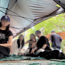 파라스파라 서울 | [공지] [서울 호캉스] 안토 (구 파라스파라)서울 후기 ㅣ 팀버 주니어룸 3인 숙박 내돈내산 솔직 리뷰