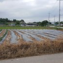 조암동물병원 이미지