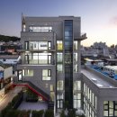 아미티스 이미지