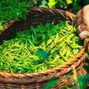 ㈜모두환경 이미지