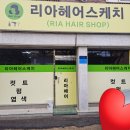 조종새싹로 이미지