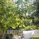 청풍명월 캠핑장 이미지