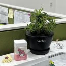 마옥환경 이미지