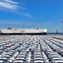 동부 비상-1호 이미지