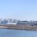 mr.플래카드 | 저혈압인 사람이 라이즈 라이징 투어 피날레 중콘보다 실려갈뻔 한 썰 푼다