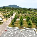 세종중앙공원 이미지