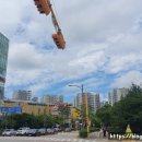 봇들약국 이미지