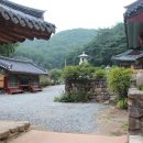 지보사